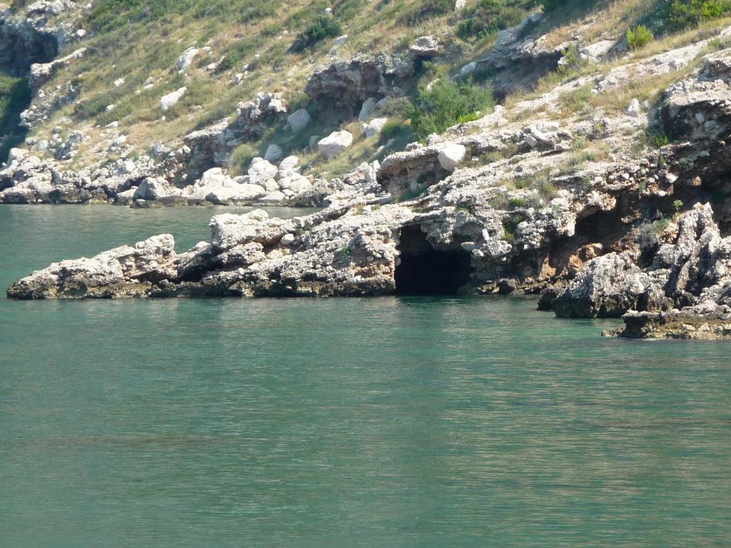 Leut Drašnice