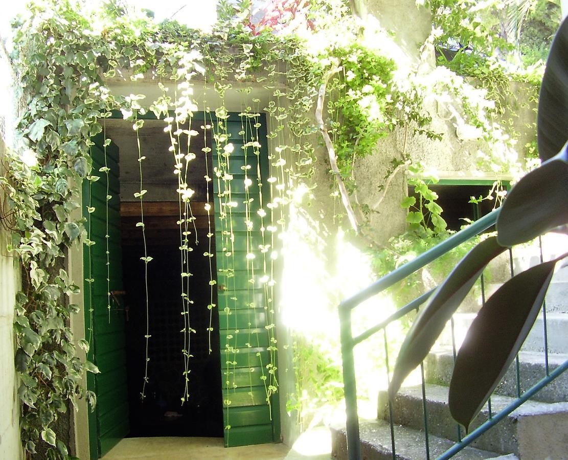 Leut Apartment *