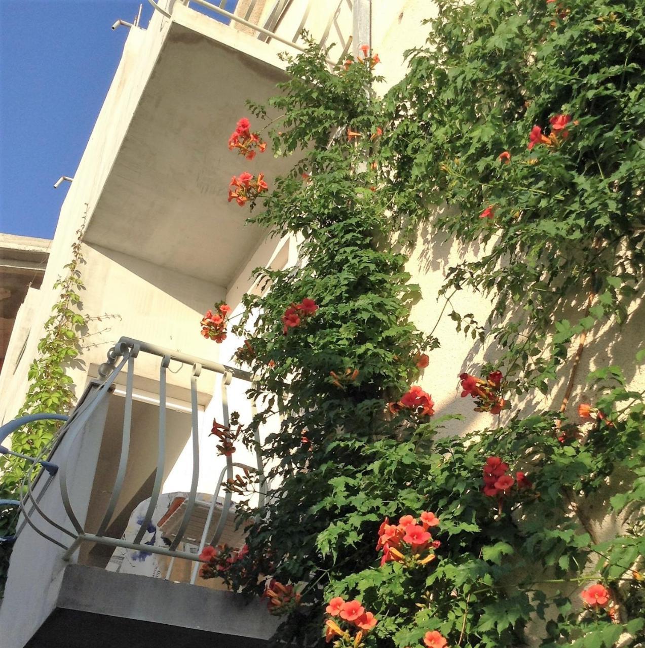 Leut Apartment